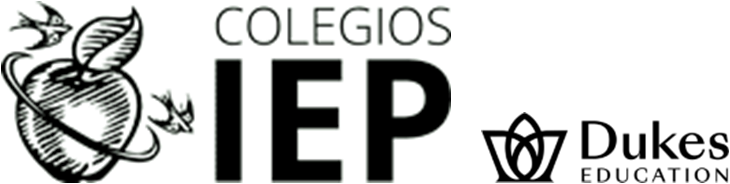 IEP Group eShop by Ilunion IT Services